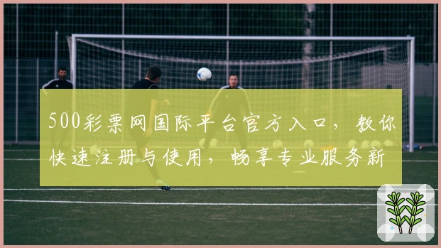 500彩票网国际平台官方入口，教你快速注册与使用，畅享专业服务新体验