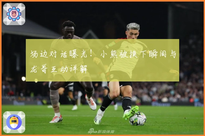 场边对话曝光！小熊被换下瞬间与龙哥互动详解