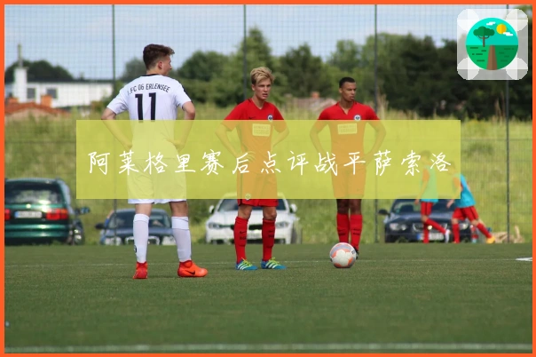 阿莱格里赛后点评战平萨索洛